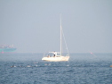 IMG_9739.jpg