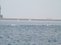 IMG_9755.jpg