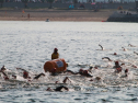 IMG_9761.jpg