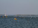 IMG_9771.jpg