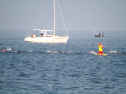 IMG_9778.jpg