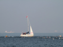 IMG_9782.jpg