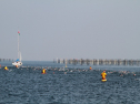 IMG_9784.jpg
