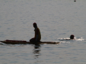 IMG_9794.jpg