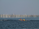 IMG_9798.jpg