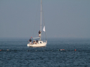 IMG_9803.jpg