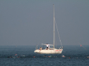 IMG_9809.jpg