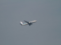 IMG_9810.jpg