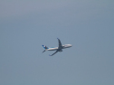 IMG_9811.jpg
