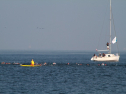 IMG_9812.jpg