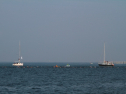 IMG_9813.jpg