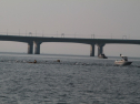 IMG_9814.jpg