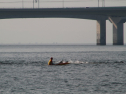 IMG_9815.jpg