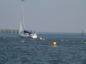 IMG_9821.jpg