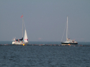 IMG_9829.jpg