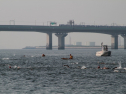 IMG_9838.jpg