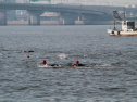 IMG_9858.jpg