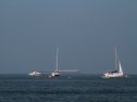 IMG_9864.jpg