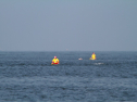 IMG_9865.jpg