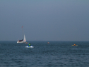 IMG_9876.jpg