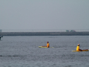 IMG_9878.jpg