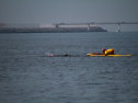 IMG_9882.jpg