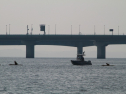 IMG_9886.jpg