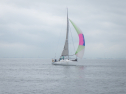 RIMG6135